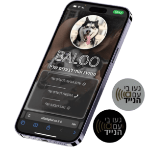 אלפא מַחְמָד – NFC